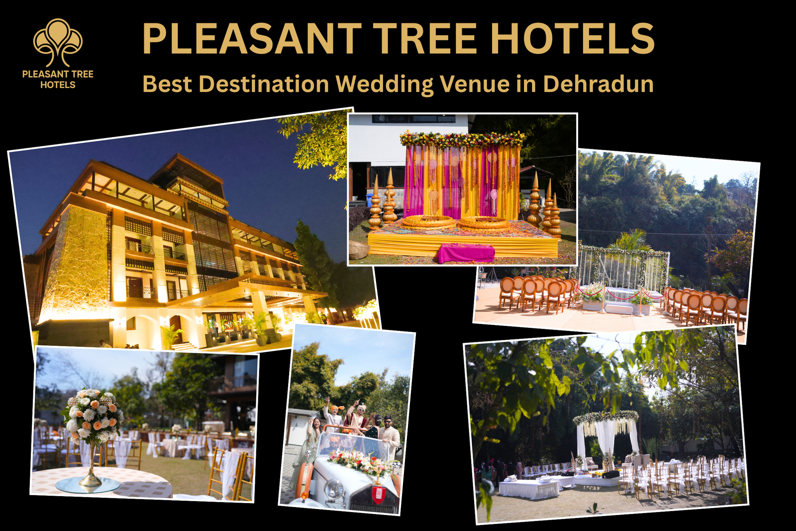 Best Destination Wedding Venue in Dehradun - Destination Wedding in Dehradun Pleasant Tree Hotels Dehradun